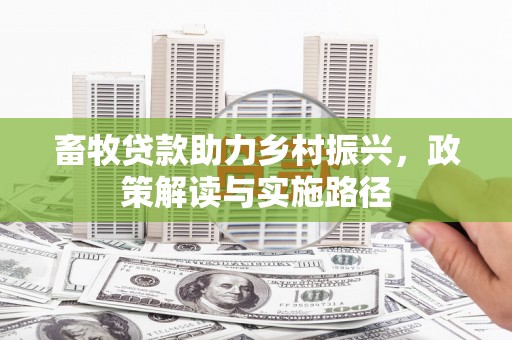建宁畜牧贷款助力乡村振兴，政策解读与实施路径