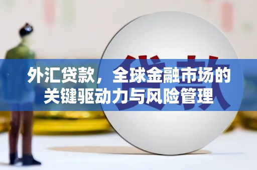建宁外汇贷款，全球金融市场的关键驱动力与风险管理