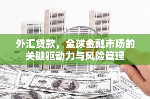 建宁外汇贷款，全球金融市场的关键驱动力与风险管理