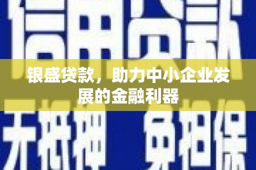 建宁银盛贷款，助力中小企业发展的金融利器