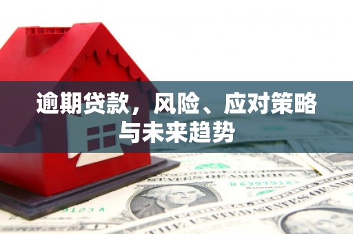 建宁逾期贷款，风险、应对策略与未来趋势