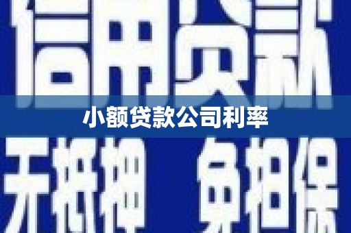 建宁小额贷款公司利率