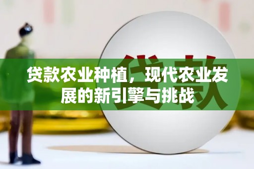 建宁贷款农业种植，现代农业发展的新引擎与挑战