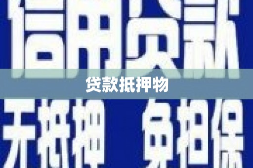 建宁贷款抵押物