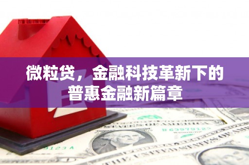 建宁微粒贷，金融科技革新下的普惠金融新篇章