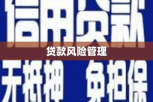 建宁贷款风险管理