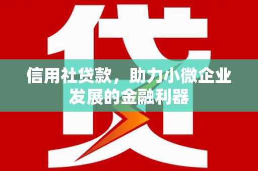 建宁信用社贷款，助力小微企业发展的金融利器