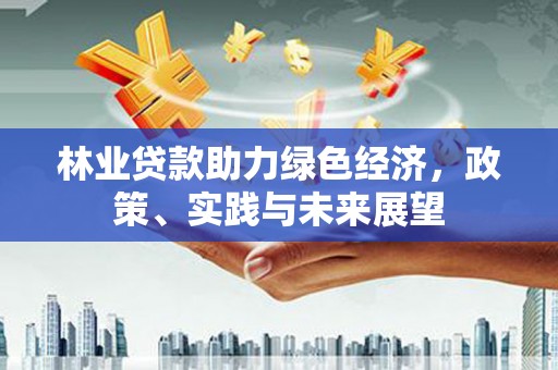建宁林业贷款助力绿色经济，政策、实践与未来展望