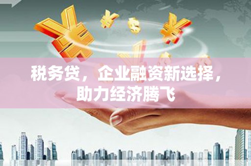 建宁税务贷，企业融资新选择，助力经济腾飞
