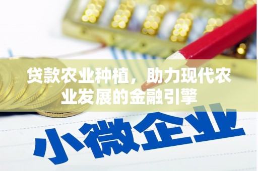 建宁贷款农业种植，助力现代农业发展的金融引擎