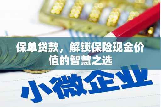 建宁保单贷款，解锁保险现金价值的智慧之选