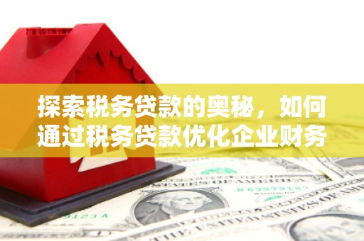 建宁探索税务贷款的奥秘，如何通过税务贷款优化企业财务