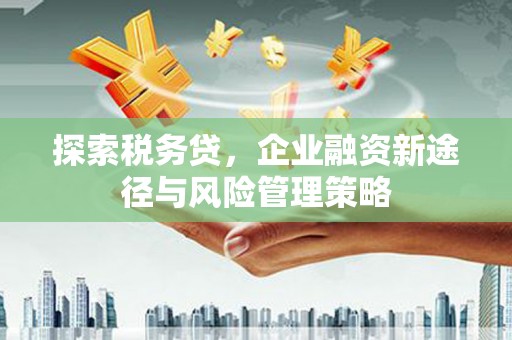 建宁探索税务贷，企业融资新途径与风险管理策略