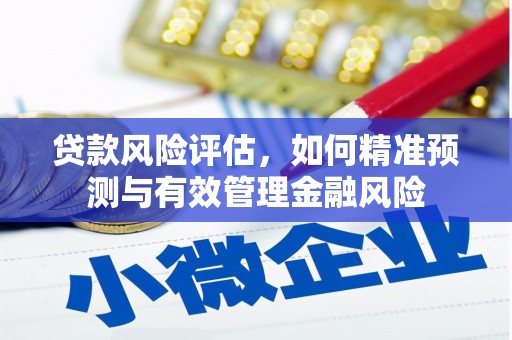 建宁贷款风险评估，如何精准预测与有效管理金融风险