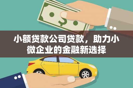 建宁小额贷款公司贷款，助力小微企业的金融新选择