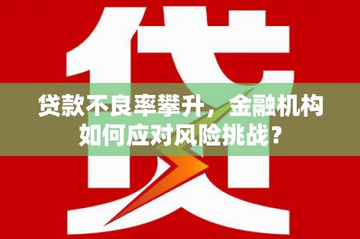 建宁贷款不良率攀升，金融机构如何应对风险挑战？