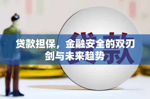 建宁贷款担保，金融安全的双刃剑与未来趋势