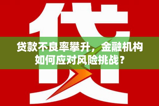 建宁贷款不良率攀升，金融机构如何应对风险挑战？