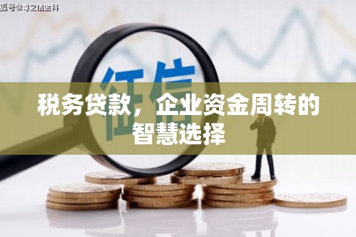 建宁税务贷款，企业资金周转的智慧选择