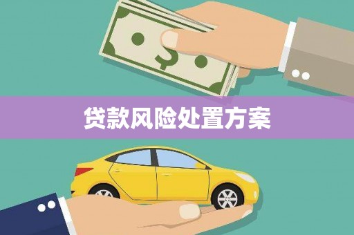 建宁贷款风险处置方案