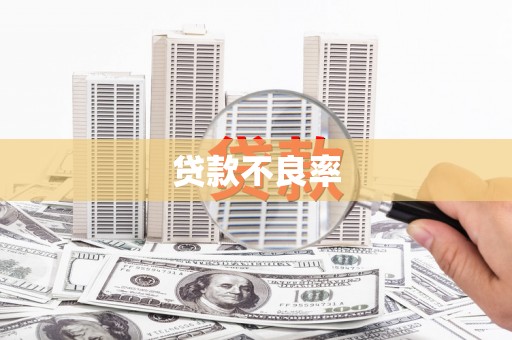 建宁贷款不良率