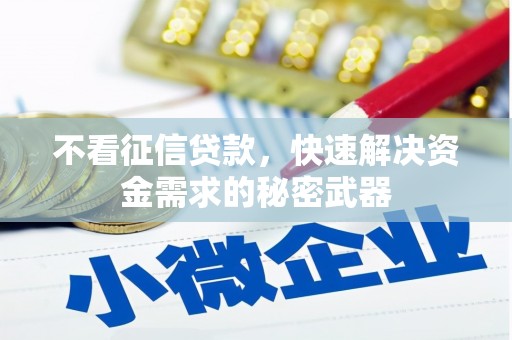 建宁不看征信贷款，快速解决资金需求的秘密武器