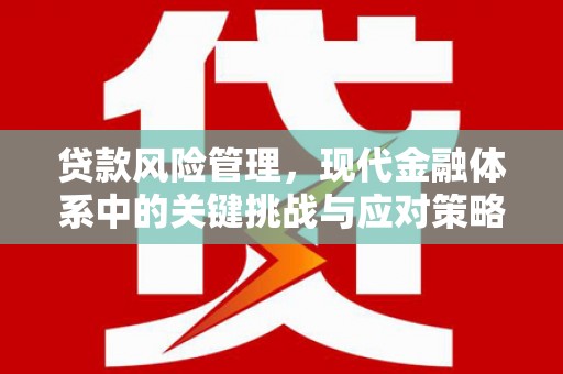 建宁贷款风险管理，现代金融体系中的关键挑战与应对策略