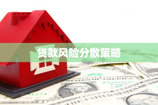建宁贷款风险分散策略