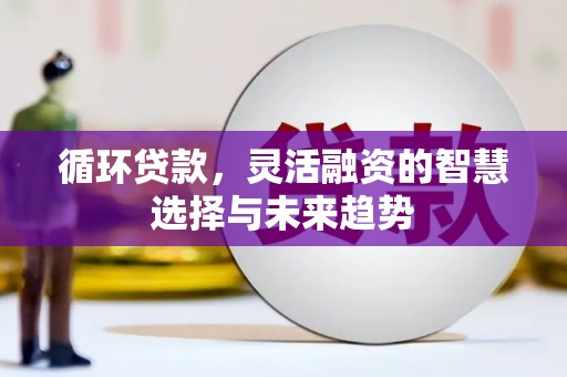 建宁循环贷款，灵活融资的智慧选择与未来趋势