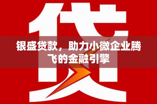 建宁银盛贷款，助力小微企业腾飞的金融引擎