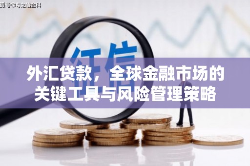 建宁外汇贷款，全球金融市场的关键工具与风险管理策略