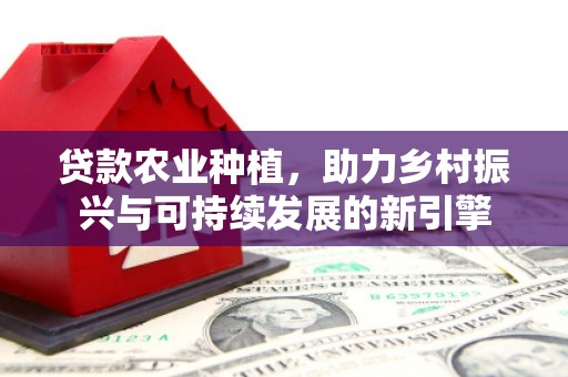 建宁贷款农业种植，助力乡村振兴与可持续发展的新引擎