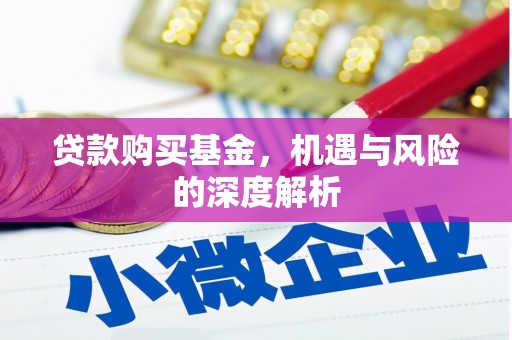 建宁贷款购买基金，机遇与风险的深度解析