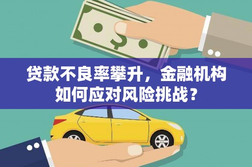 建宁贷款不良率攀升，金融机构如何应对风险挑战？