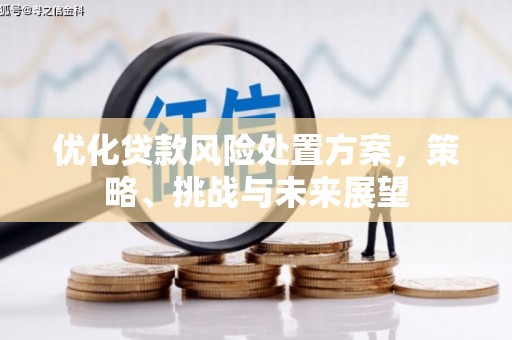 建宁优化贷款风险处置方案，策略、挑战与未来展望