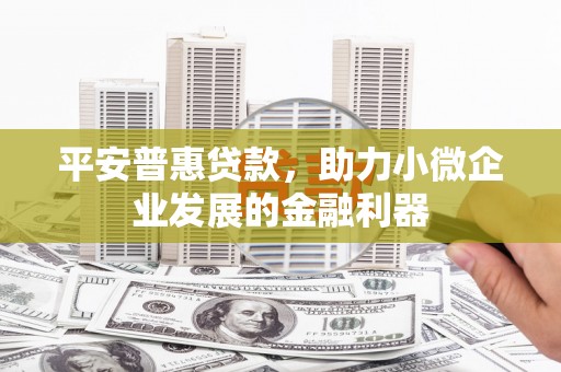 建宁平安普惠贷款，助力小微企业发展的金融利器