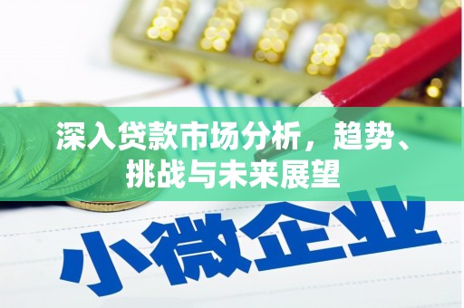 建宁深入贷款市场分析，趋势、挑战与未来展望
