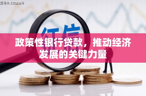 建宁政策性银行贷款，推动经济发展的关键力量