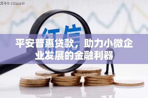 建宁平安普惠贷款，助力小微企业发展的金融利器