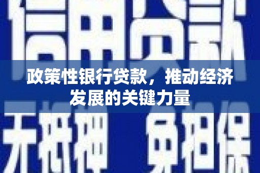 建宁政策性银行贷款，推动经济发展的关键力量