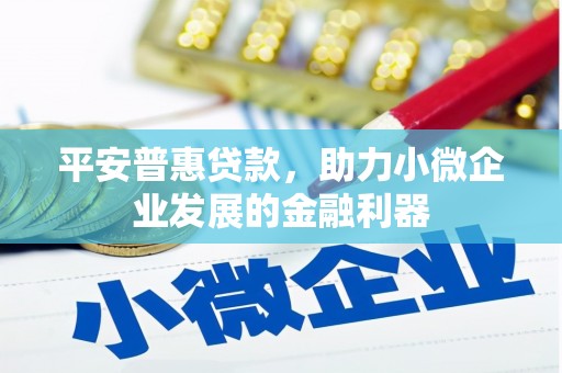 建宁平安普惠贷款，助力小微企业发展的金融利器