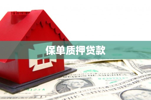 建宁保单质押贷款