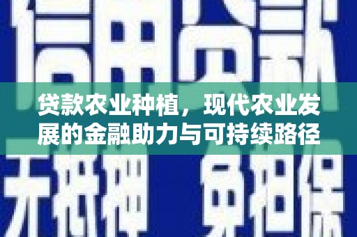 建宁贷款农业种植，现代农业发展的金融助力与可持续路径