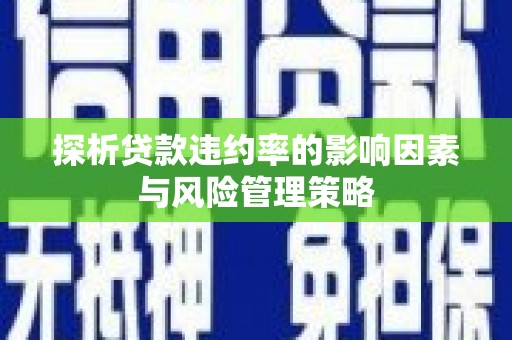 建宁探析贷款违约率的影响因素与风险管理策略