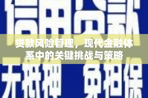 建宁贷款风险管理，现代金融体系中的关键挑战与策略