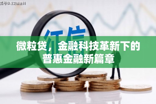 建宁微粒贷，金融科技革新下的普惠金融新篇章