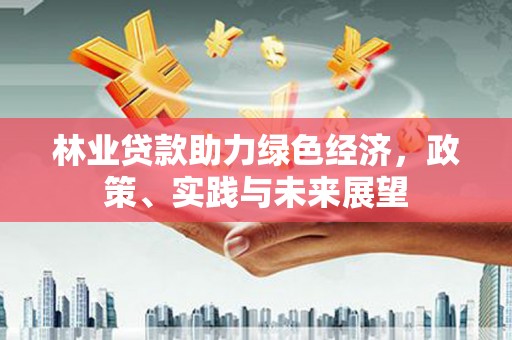 建宁林业贷款助力绿色经济，政策、实践与未来展望