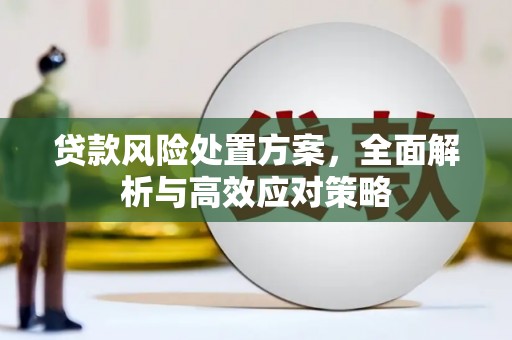 建宁贷款风险处置方案，全面解析与高效应对策略