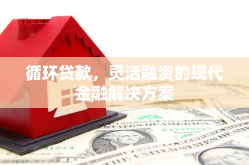 建宁循环贷款，灵活融资的现代金融解决方案