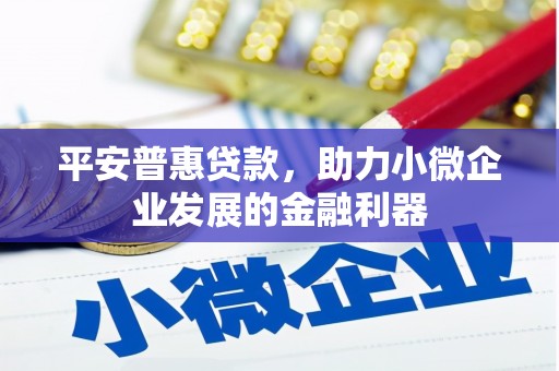 建宁平安普惠贷款，助力小微企业发展的金融利器